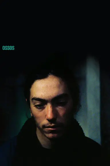 骨未成灰 Ossos 海报