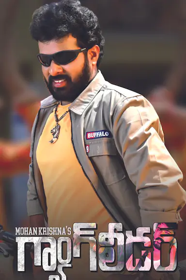 గ్యాంగ్ లీడర్ 海报