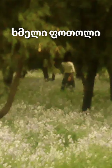 落叶球 ხმელი ფოთოლი 海报