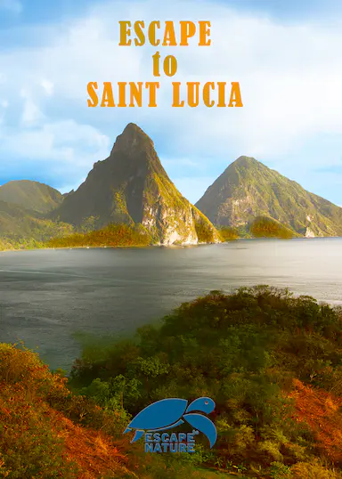 Escape to Saint Lucia 海报