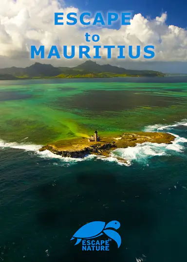 Escape to Mauritius 海报