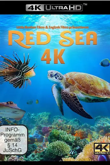 红海（4K） Red Sea 4K 海报