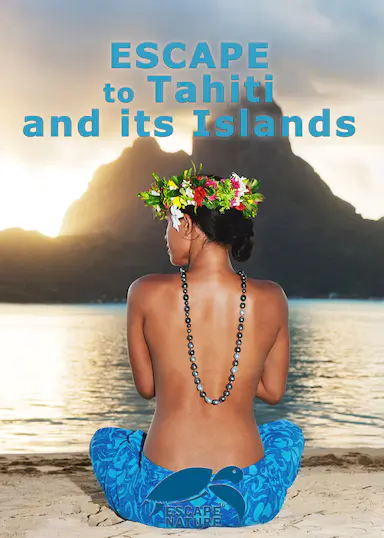 Escape to Tahiti and Her Islands 海报