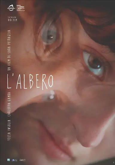 树 L'albero 海报