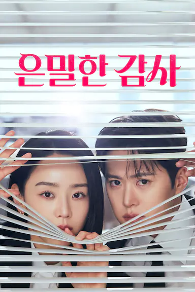 隐秘的监察 은밀한감사 海报