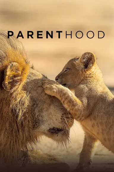 宝贝星球 Parenthood 海报