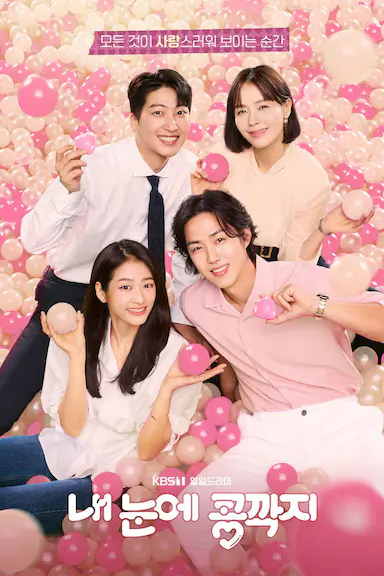 我眼中的豆荚 내 눈에 콩깍지 海报